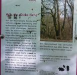 IMG-20190526-WA0036G