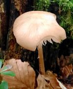 IMG-20230912-WA00152