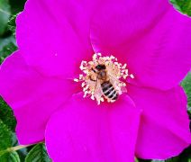 IMG-20230912-WA00352